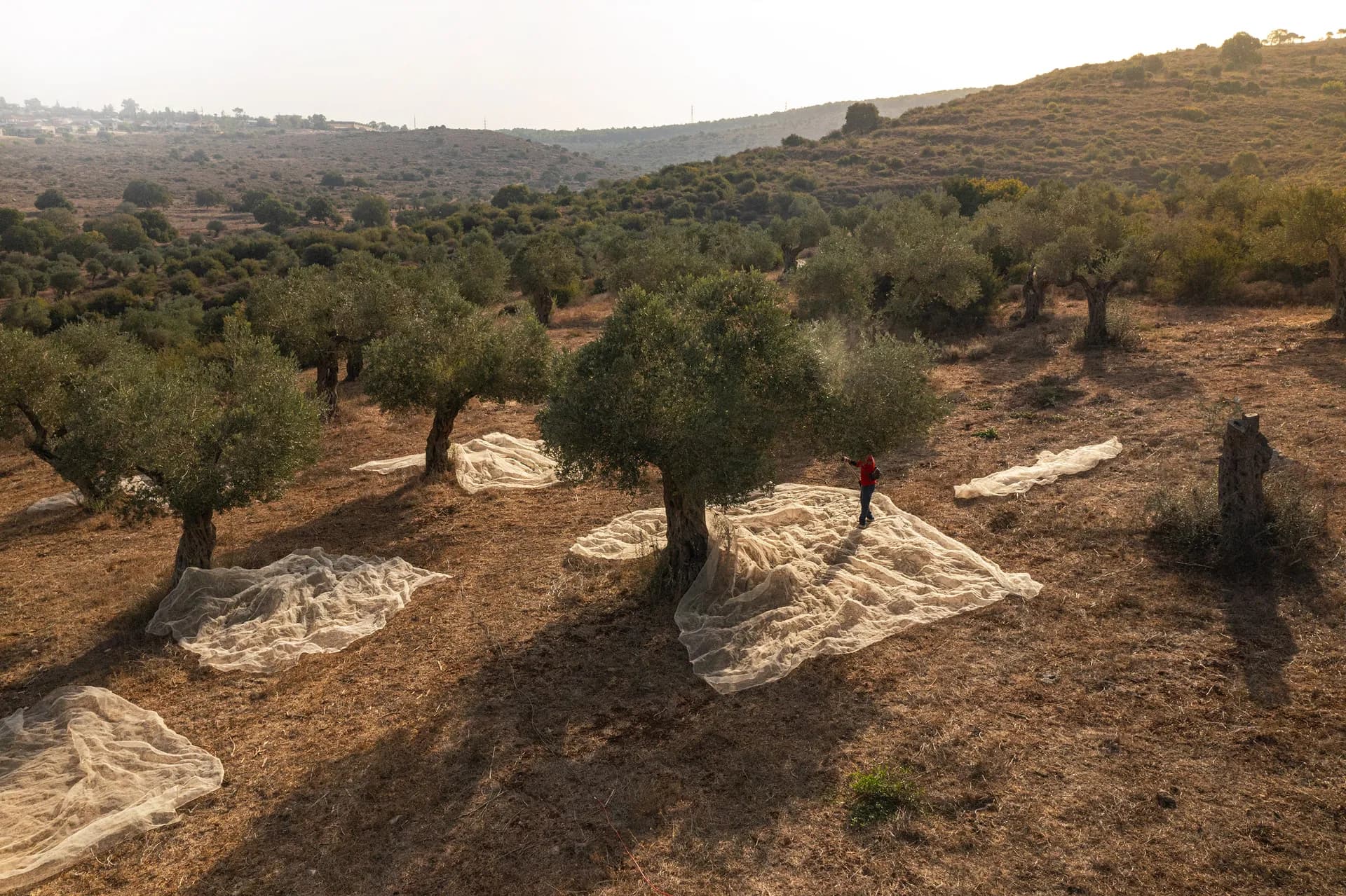 about the maker Rish Lakish